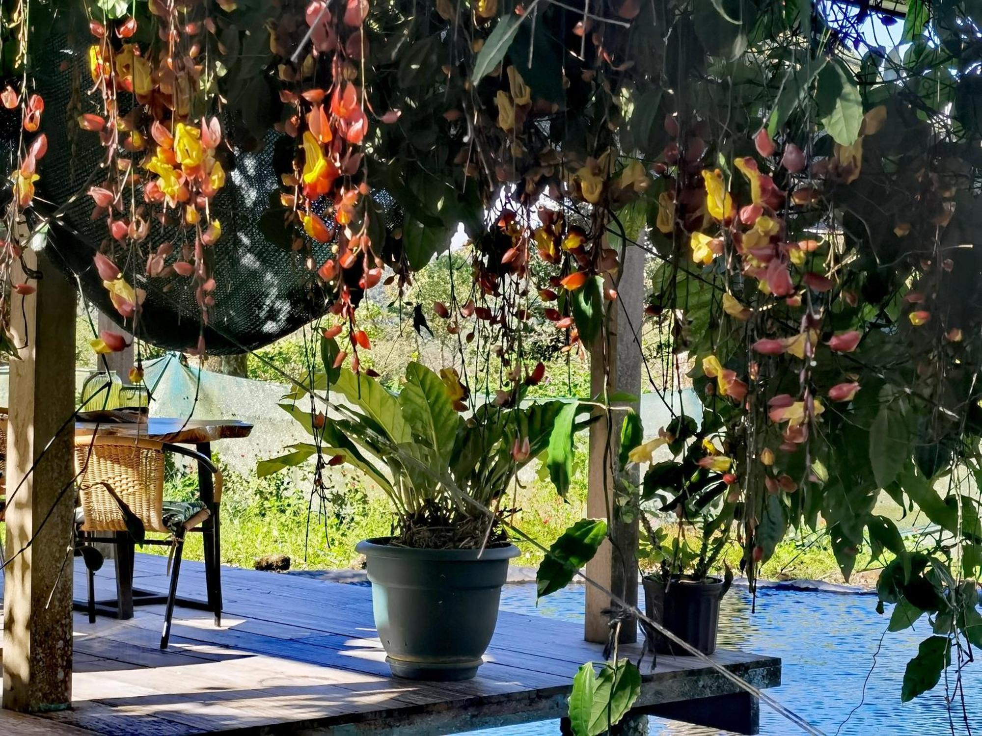 GREENHOUSE Loft Miravalles Aguas Claras  Extérieur photo